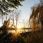 Herbsttag am Rhein Sonnenuntergang 01 / Autumn day at the rhine sunsdown 01