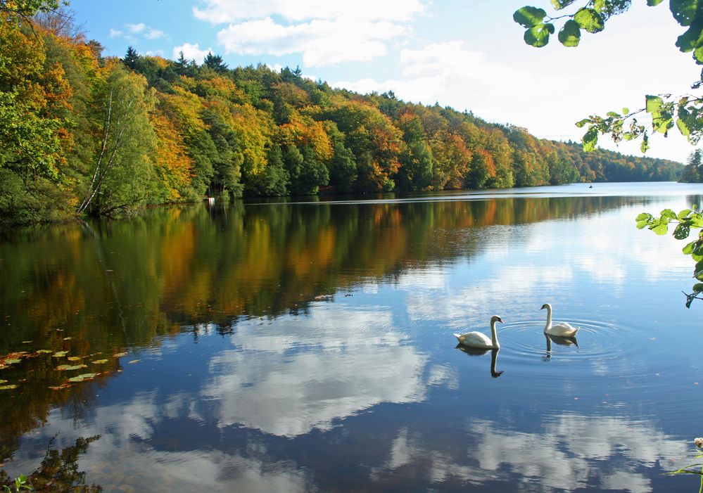 Herbsttag am See