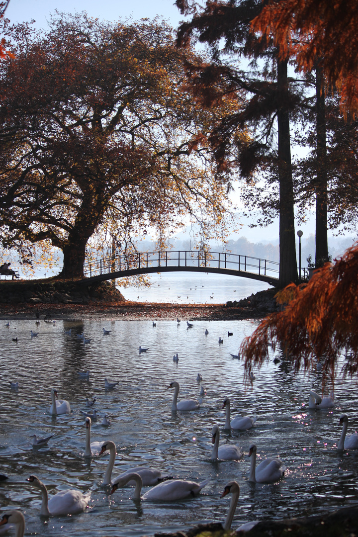 Herbsttag am See