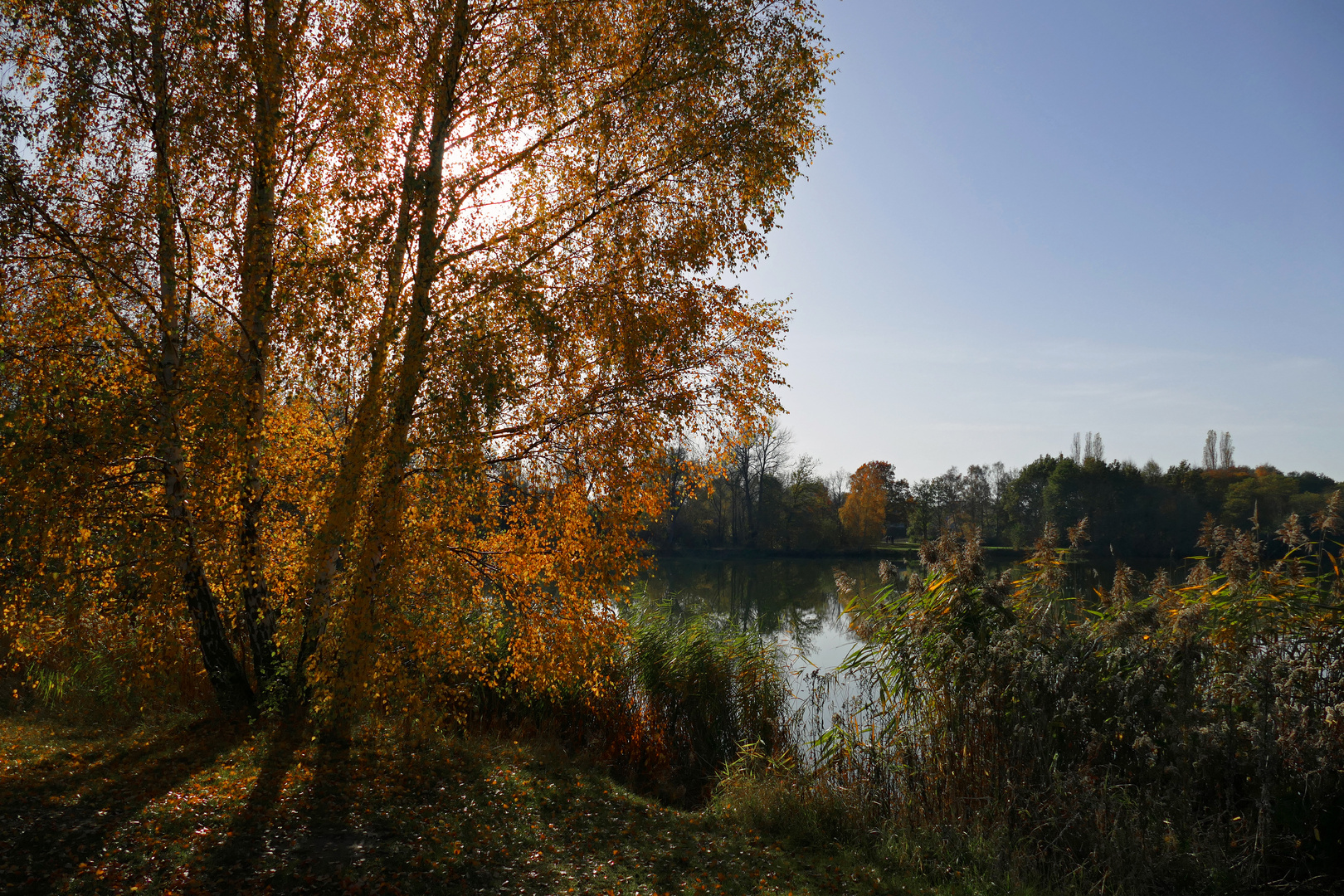 Herbsttag am Spielmannsteich 