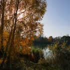 Herbsttag am Spielmannsteich 