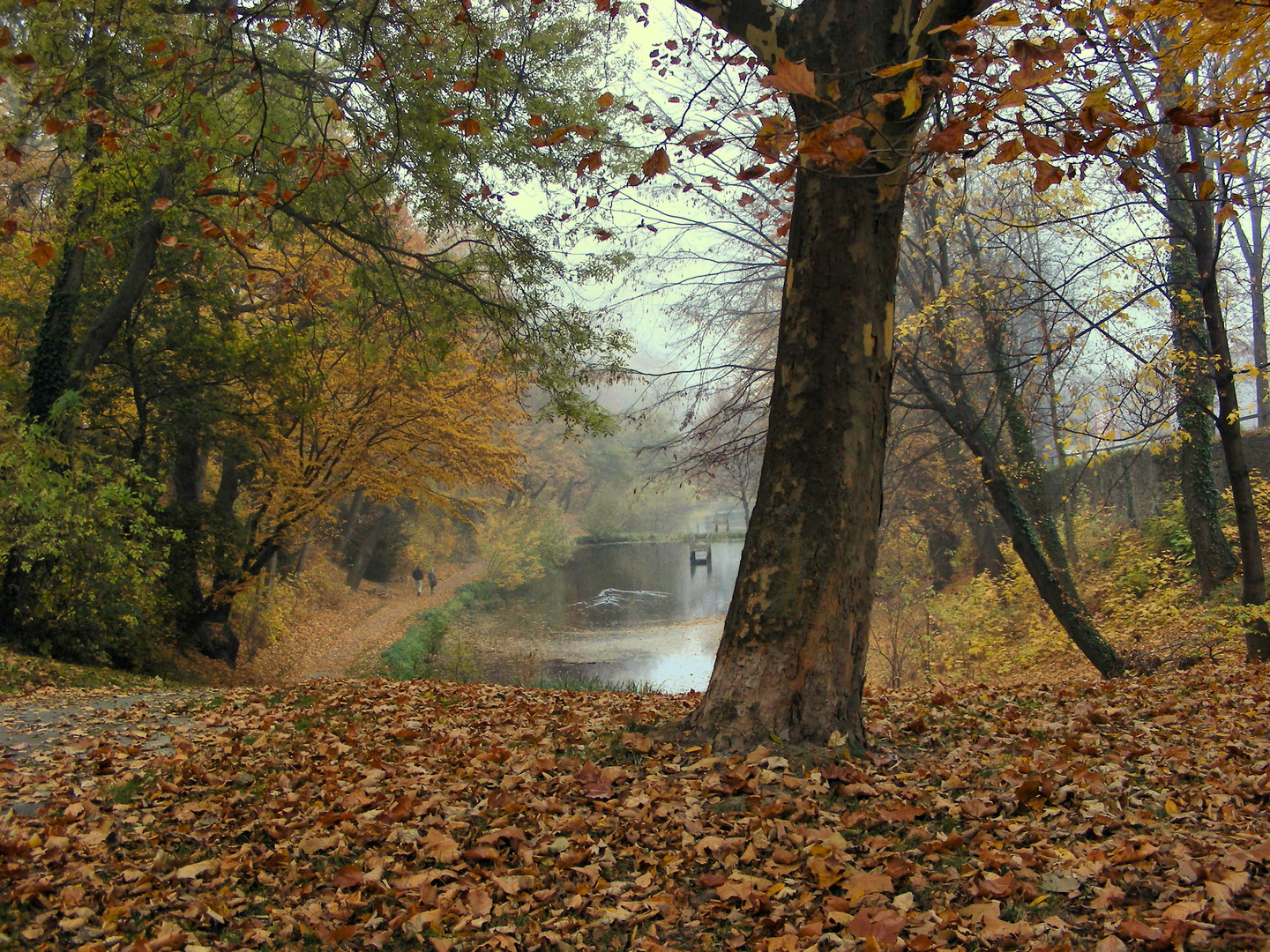 Herbsttag am Teich