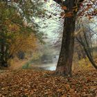 Herbsttag am Teich