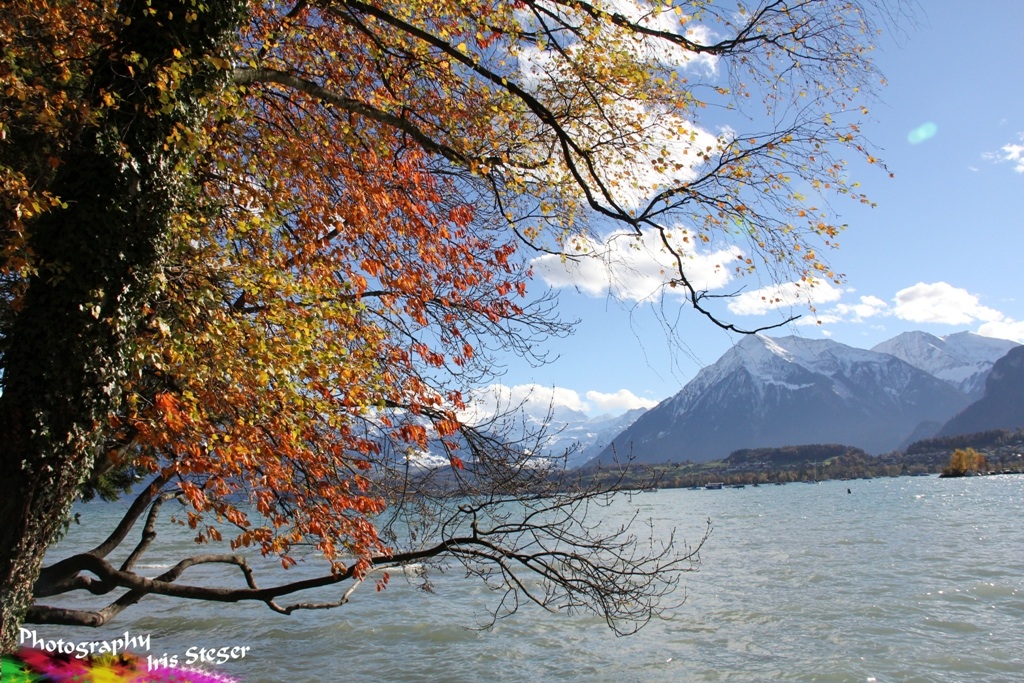 Herbsttag am Thunersee, CH