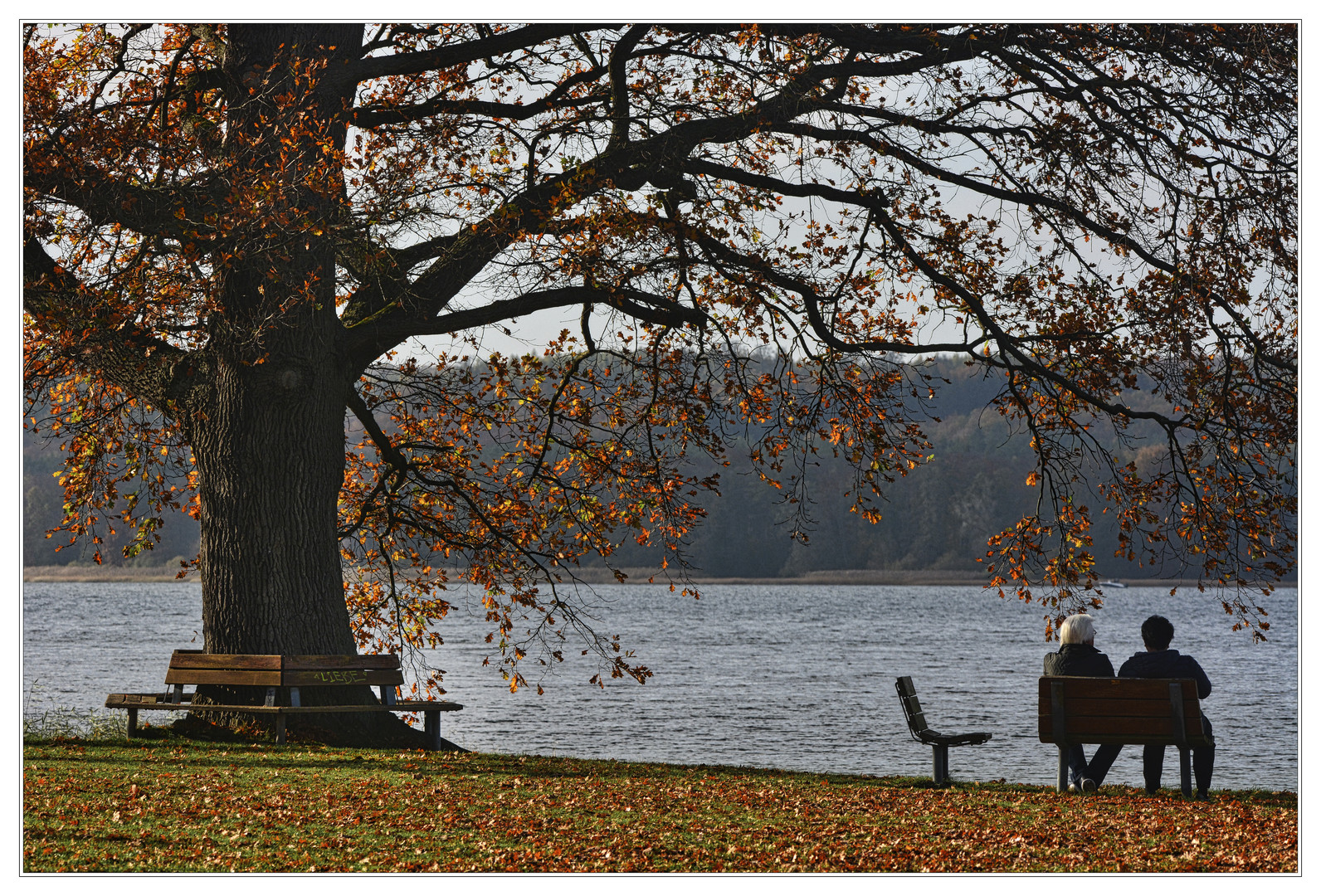 Herbsttag am Tollensesee