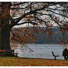 Herbsttag am Tollensesee