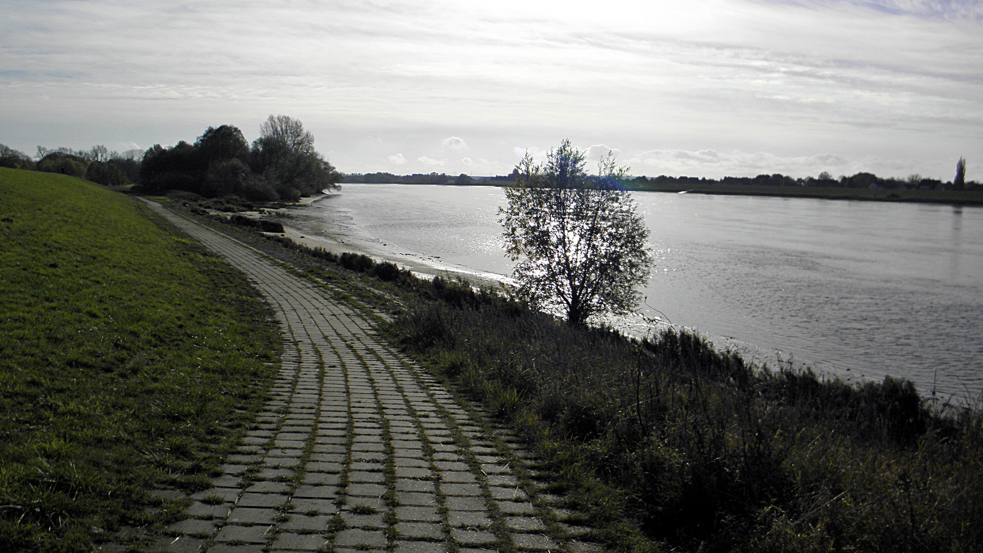 Herbsttag an der Elbe