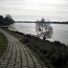 Herbsttag an der Elbe