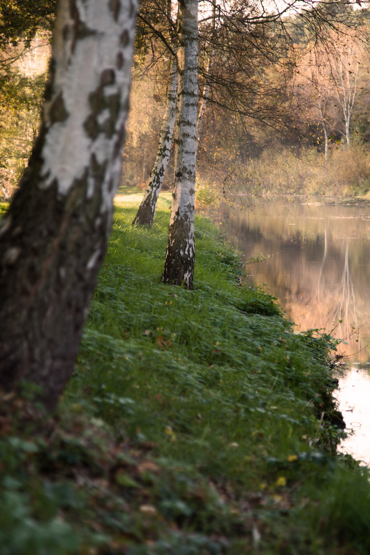 Herbsttag an der Elde