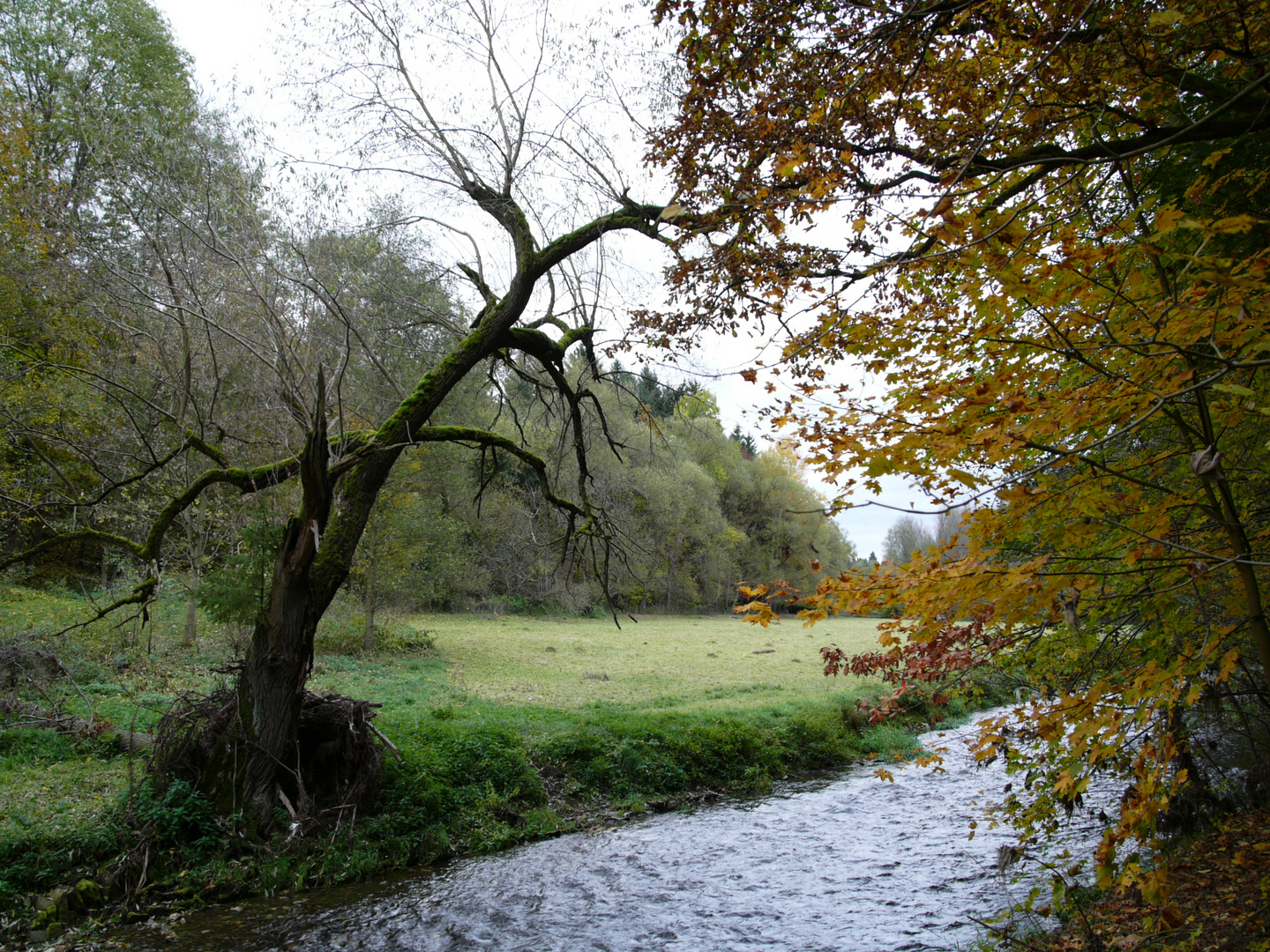 Herbsttag an der Göltzsch bei Mylau