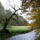 Herbsttag an der Göltzsch bei Mylau