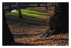 Herbsttag an der Linde