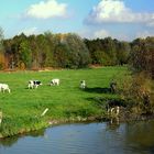 Herbsttag an der Lippe