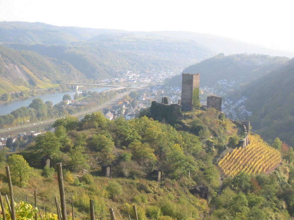 Herbsttag an der Mosel