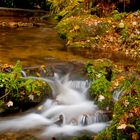 Herbsttag an der Murg / Langzeitbelichtung mit CPL Filter