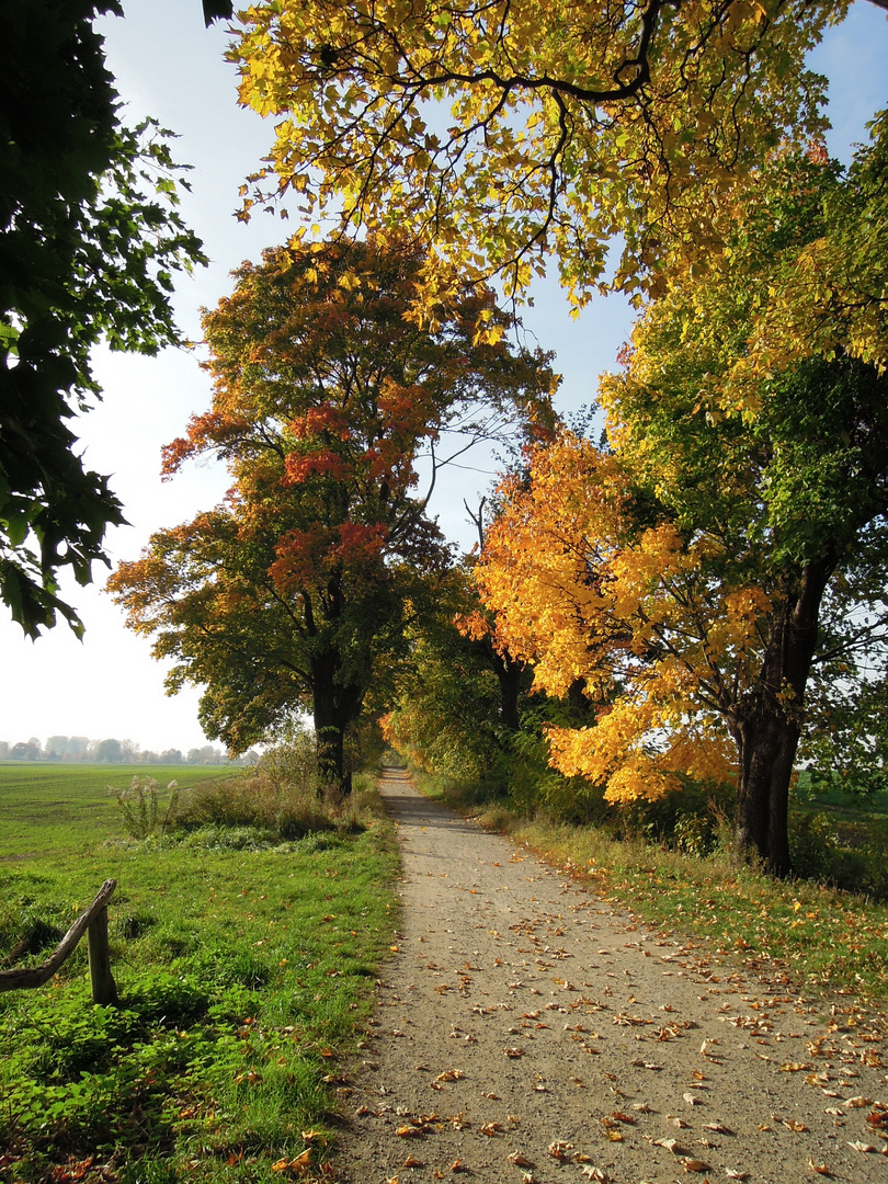 Herbsttag