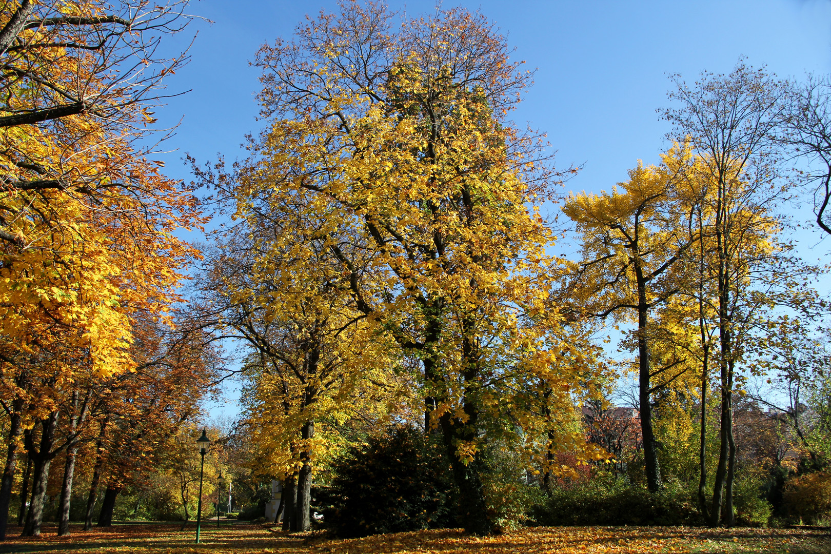 Herbsttag