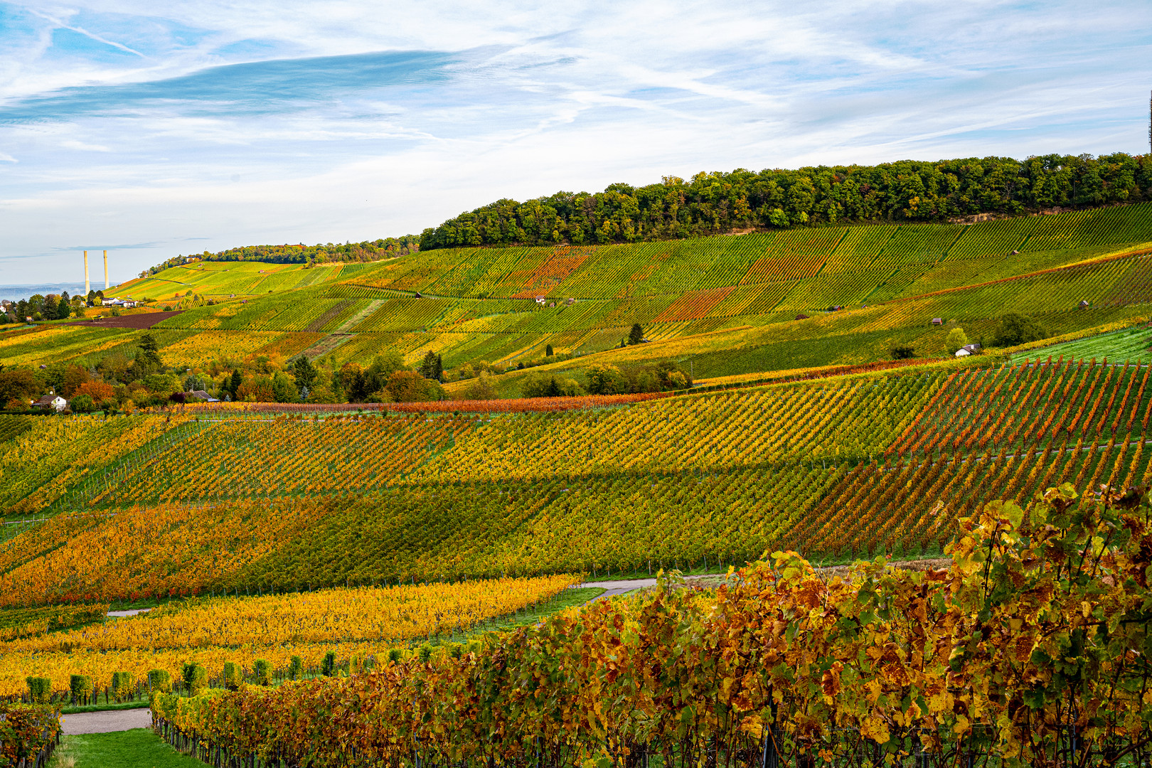 Herbsttag bei Heilbronn