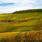 Herbsttag bei Heilbronn