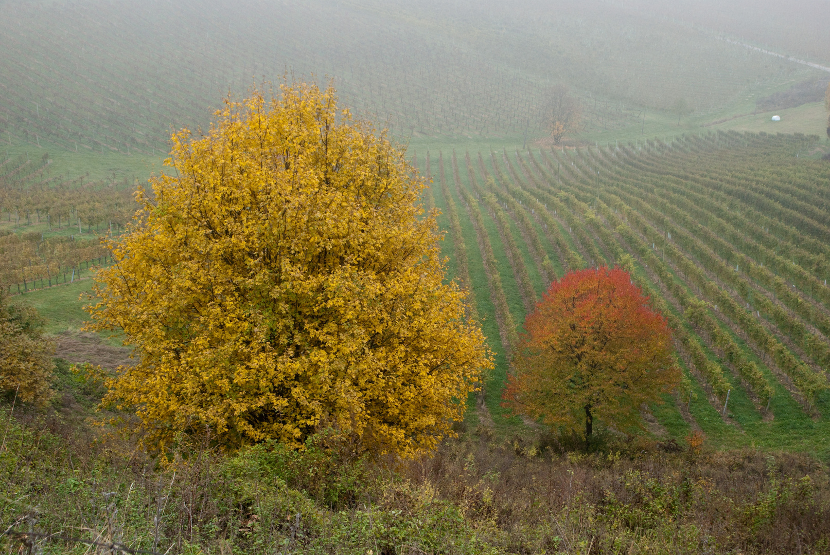 Herbsttag