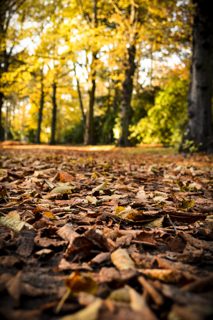 Herbsttag