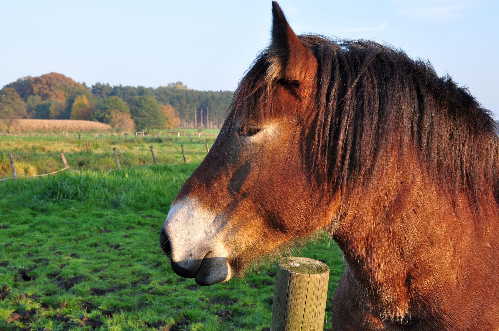 Herbsttag