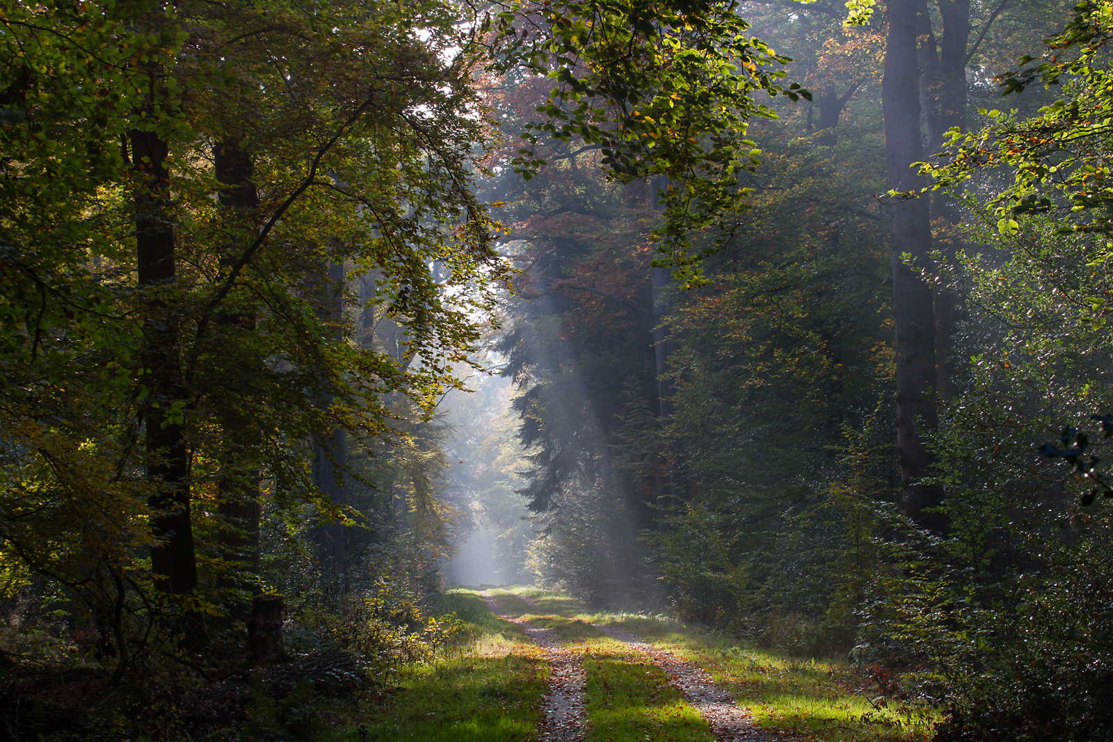 Herbsttag