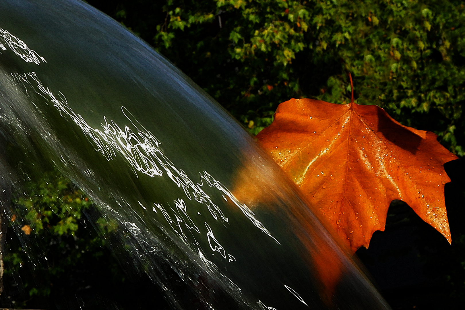 Herbsttag