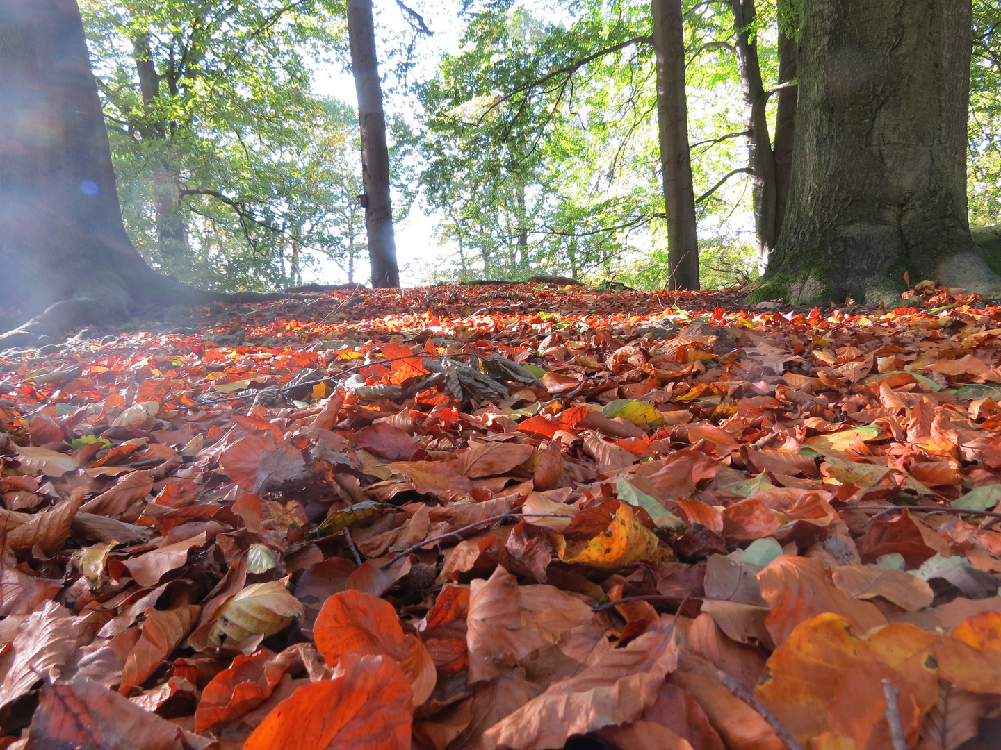 Herbsttag