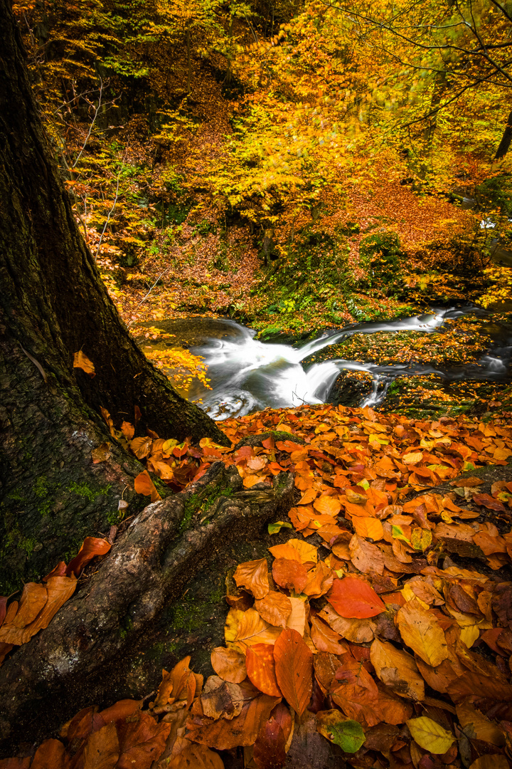 Herbsttag