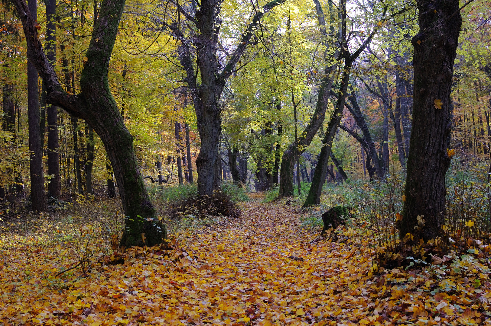 Herbsttag