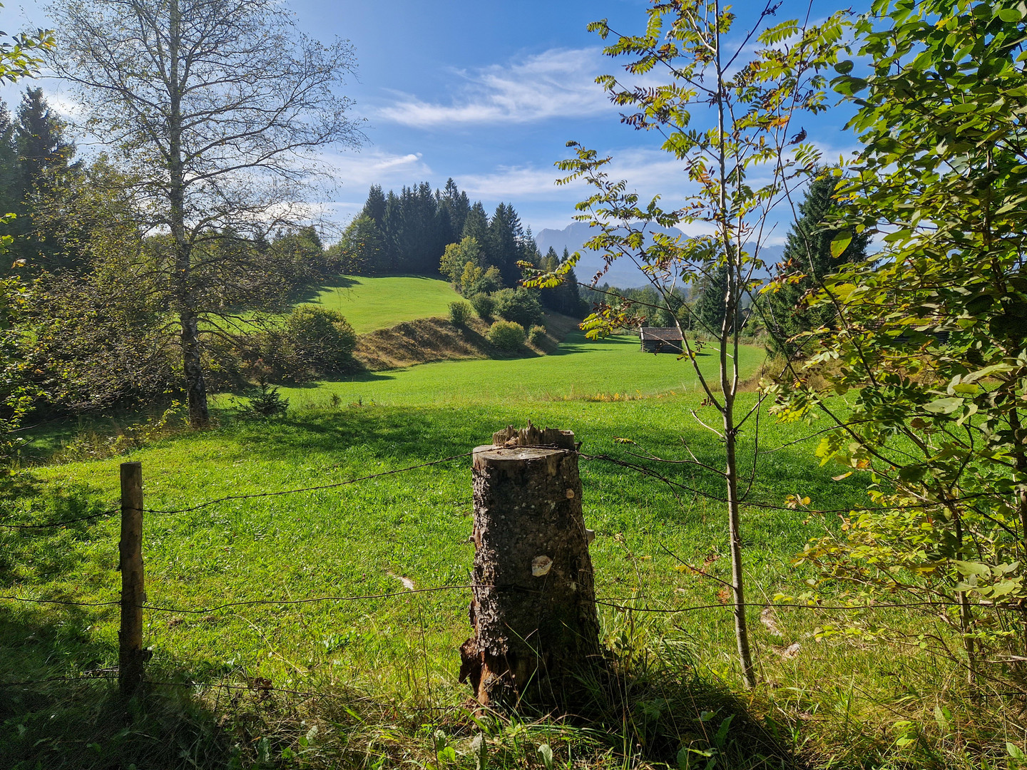 Herbsttag