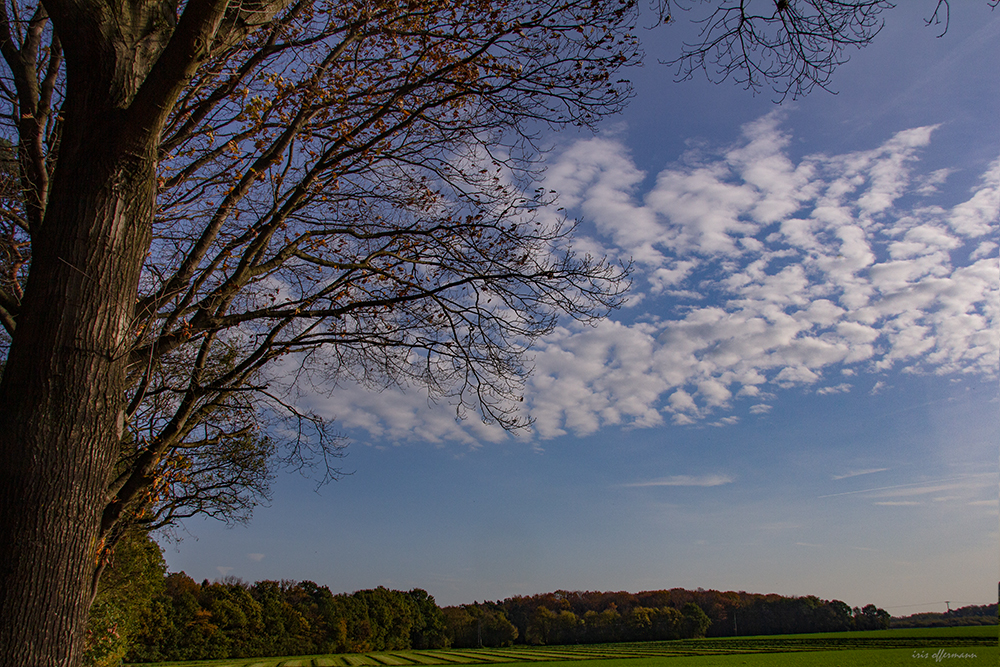 Herbsttag