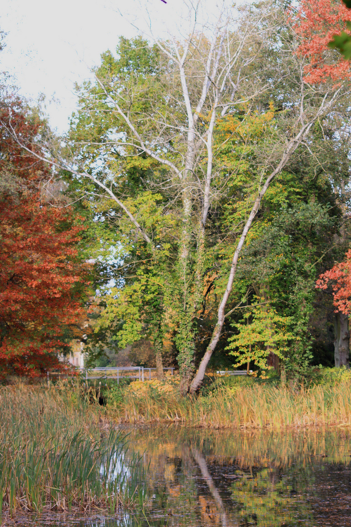 Herbsttag