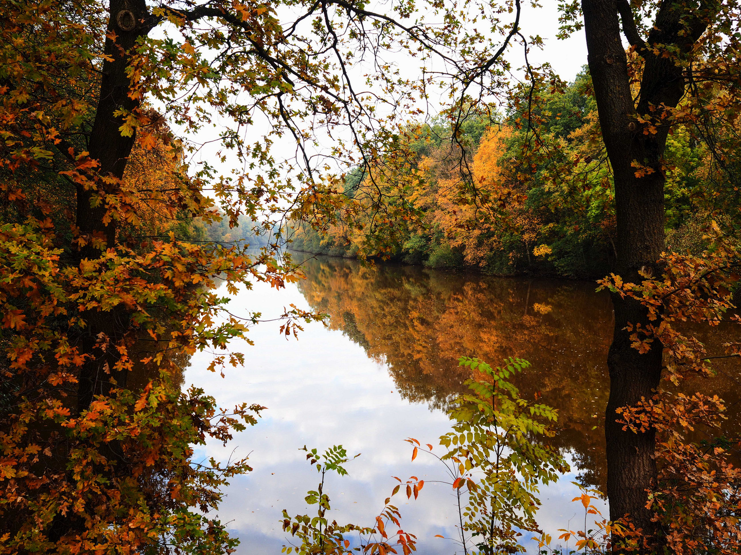 Herbsttag (II)