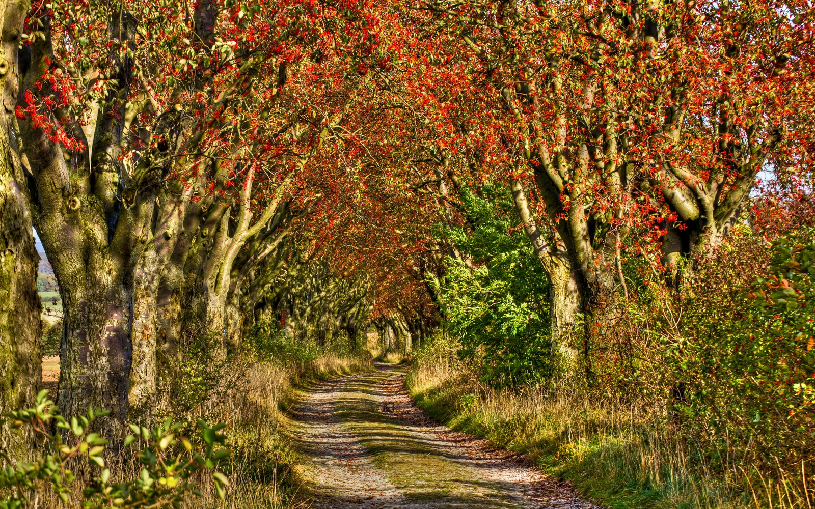 Herbsttag im Eichsfeld