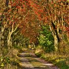 Herbsttag im Eichsfeld