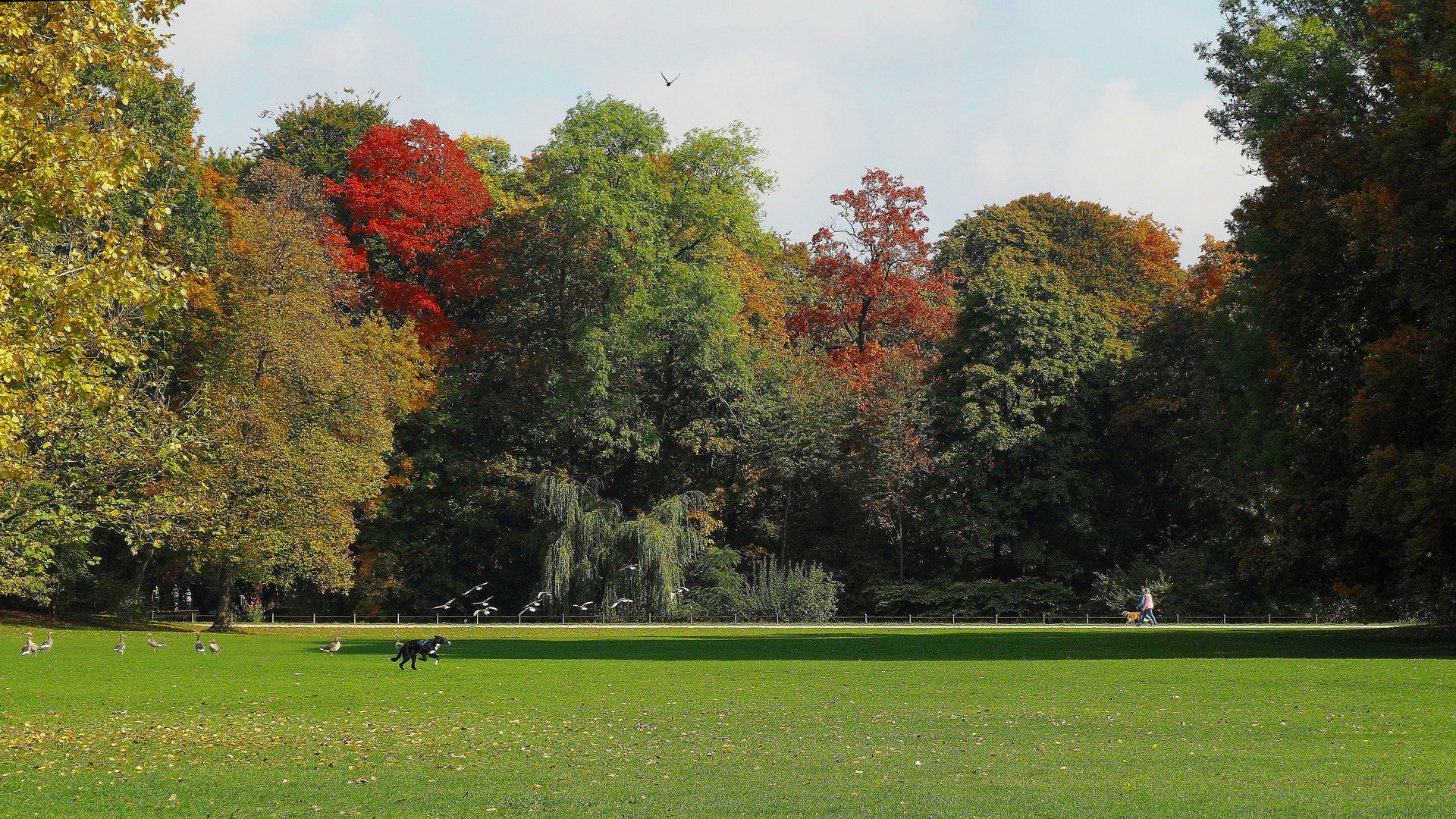 Herbsttag im englischen Garten