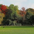 Herbsttag im englischen Garten