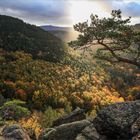 Herbsttag im Harz