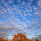 Herbsttag im Kirdorfer Feld