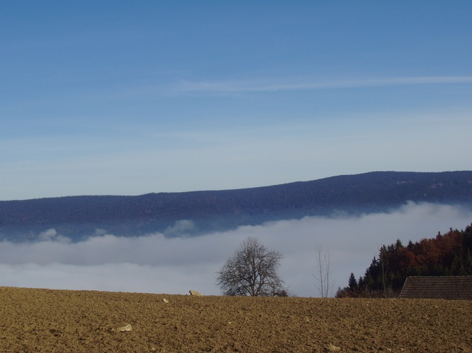 Herbsttag im Mühlviertel