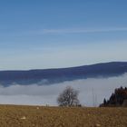 Herbsttag im Mühlviertel