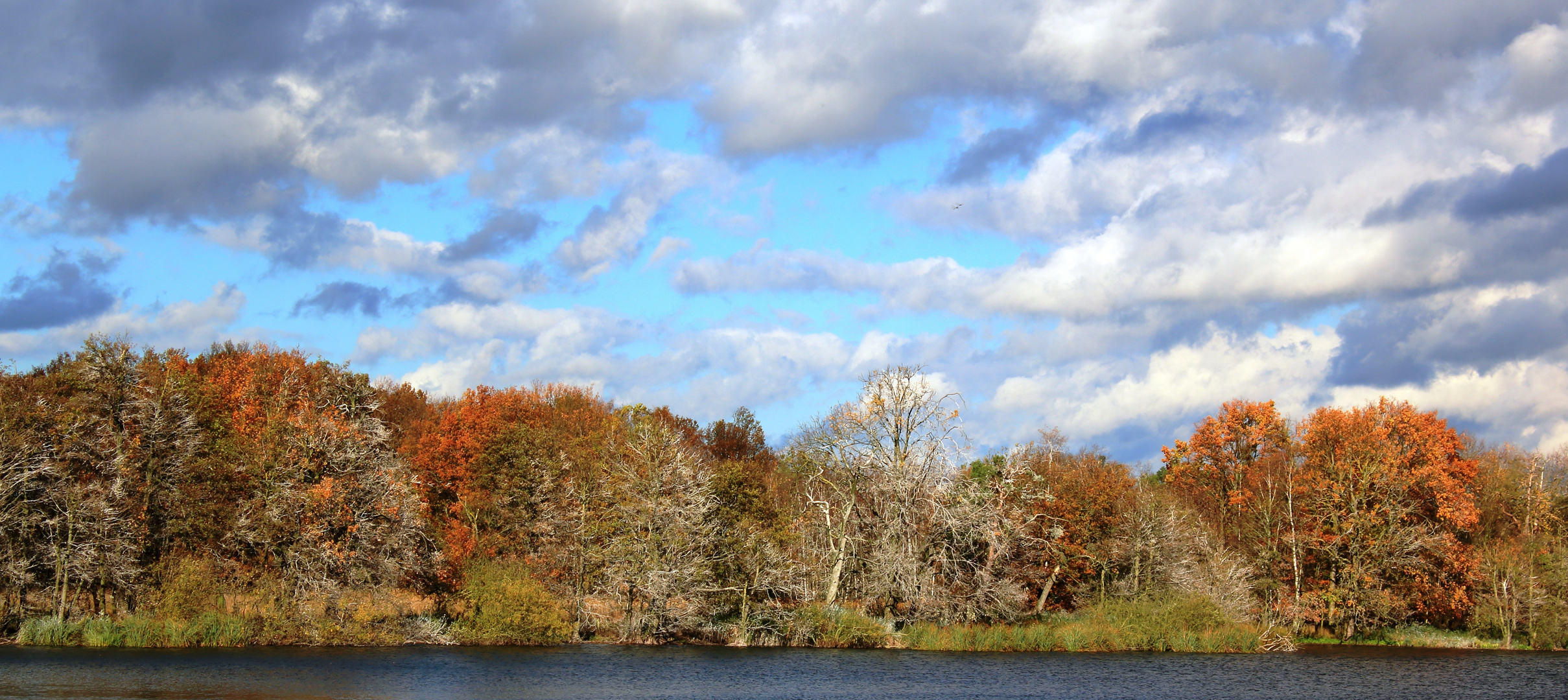 Herbsttag im Müritz-Nationalpark