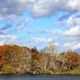 Herbsttag im Mritz-Nationalpark