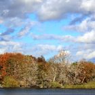 Herbsttag im Müritz-Nationalpark