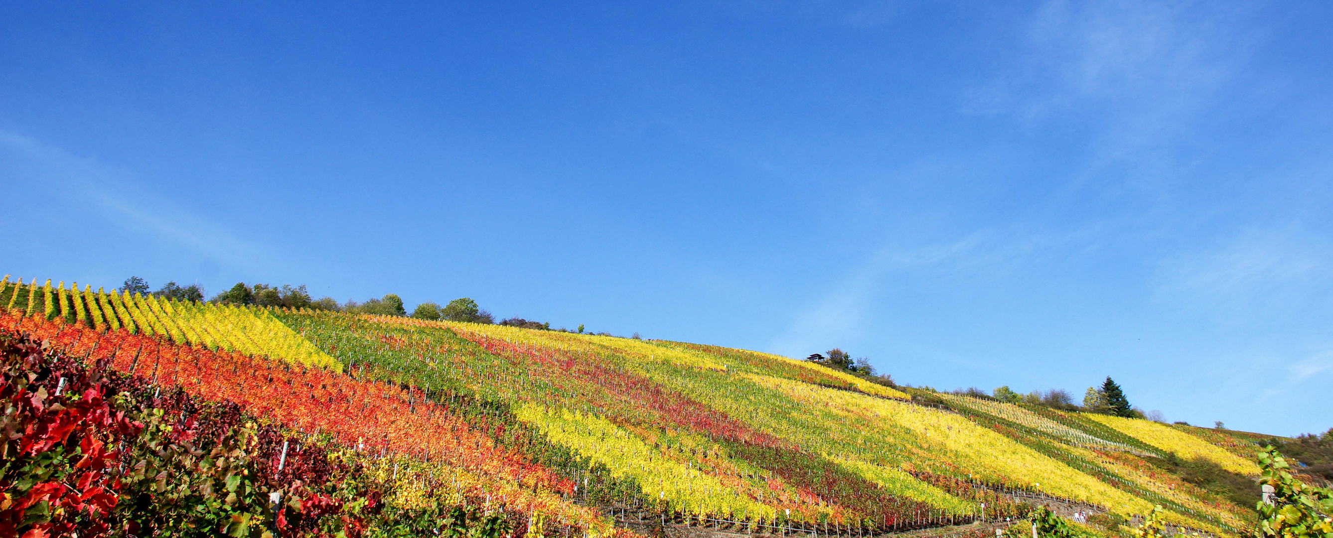 Herbsttag im Oktober 