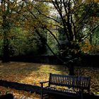 Herbsttag im Stadtgarten