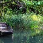 Herbsttag im Taubergiessen