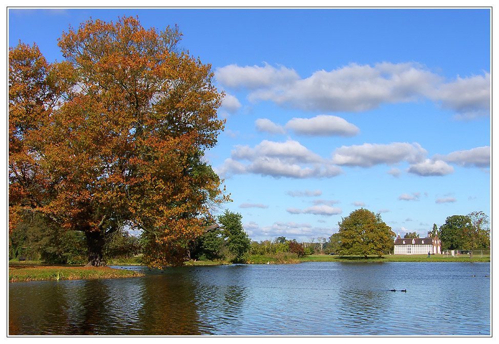 Herbsttag im Wörlitzer Park 2